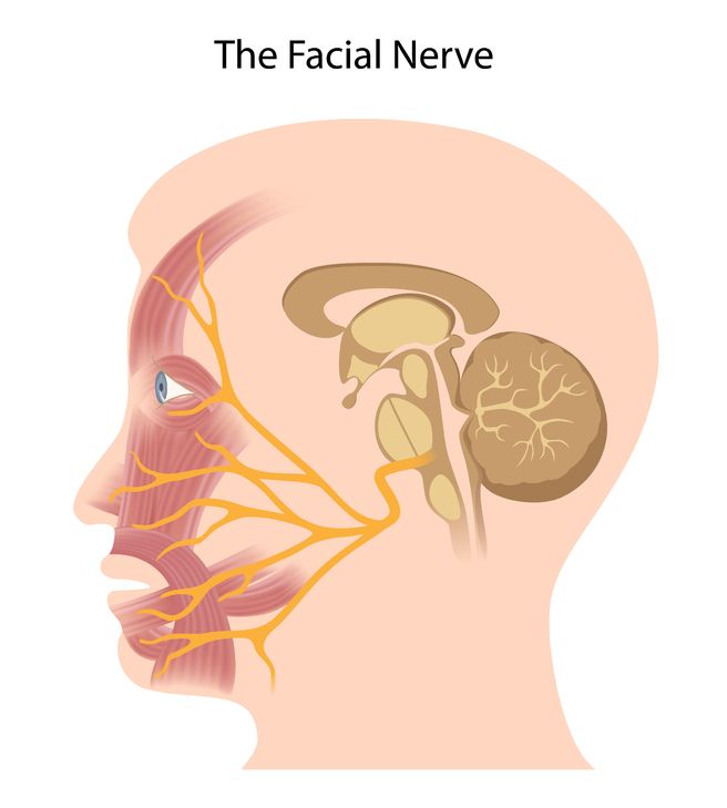 facial nerve disorders in slc utah