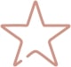 icon1 icon1