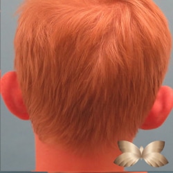 Before Image