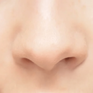 nose